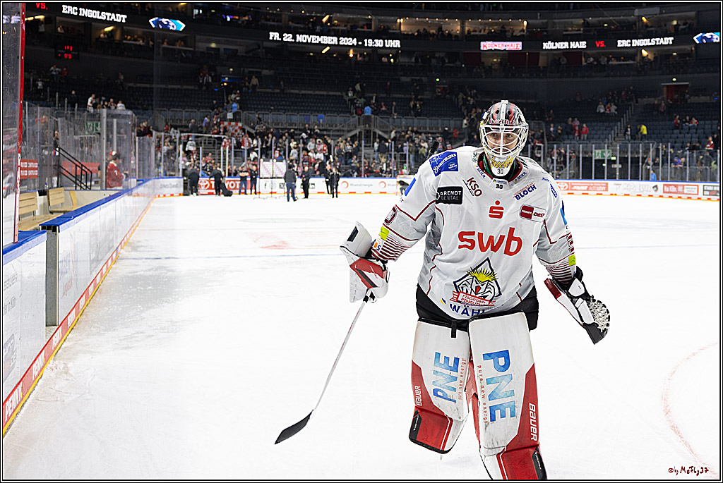 PENNY DEL 1; Kölner Haie - Fischtown Pinguins; Köln, 15.11.2024